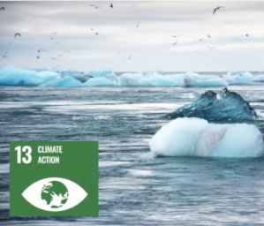 SDG13